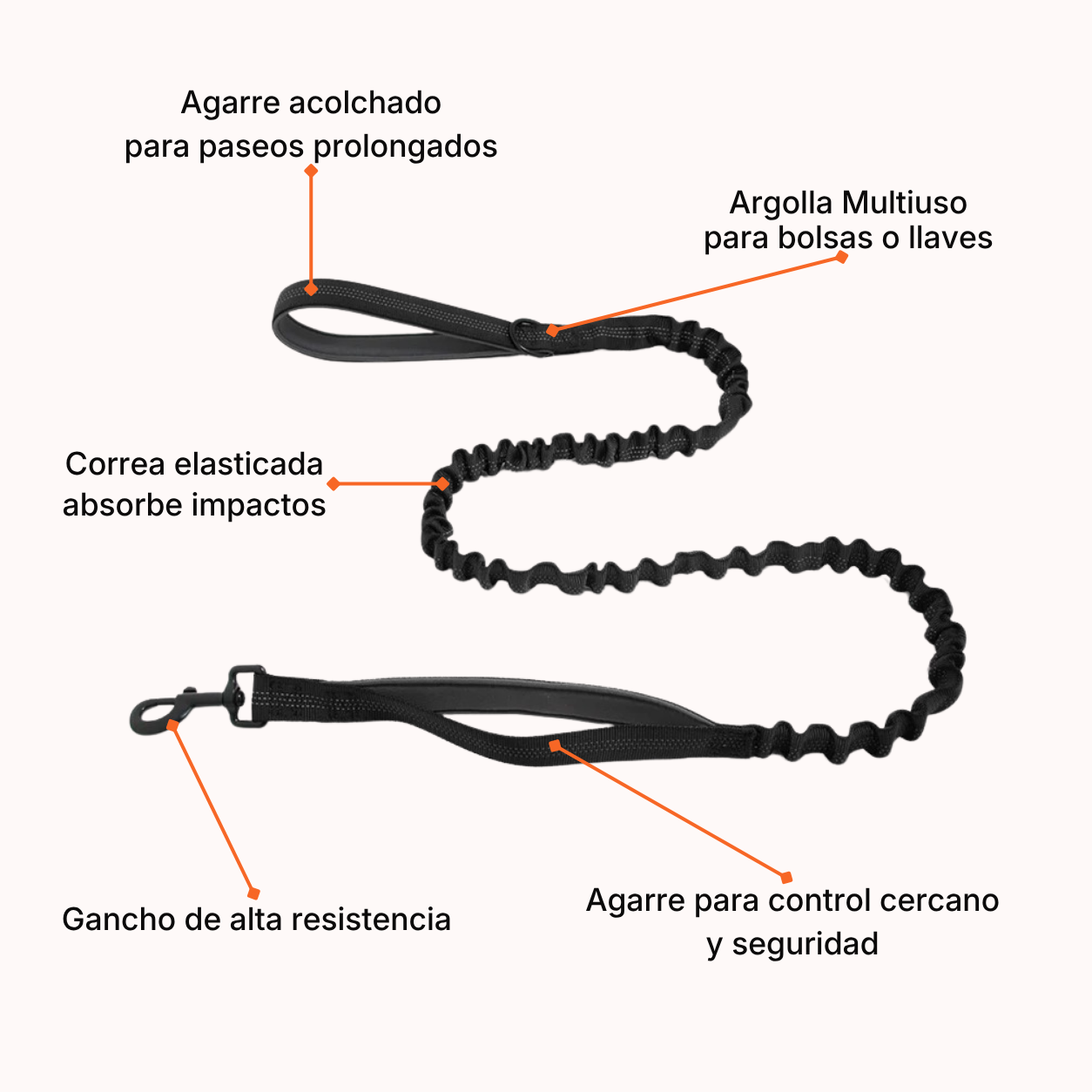 Correa Elásticada Pro