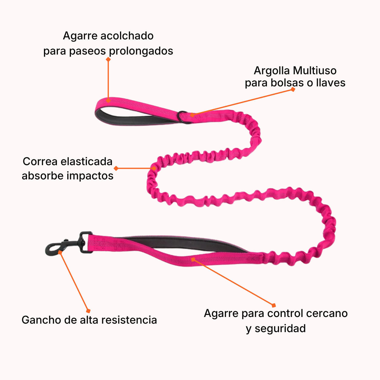 Correa Elásticada Pro