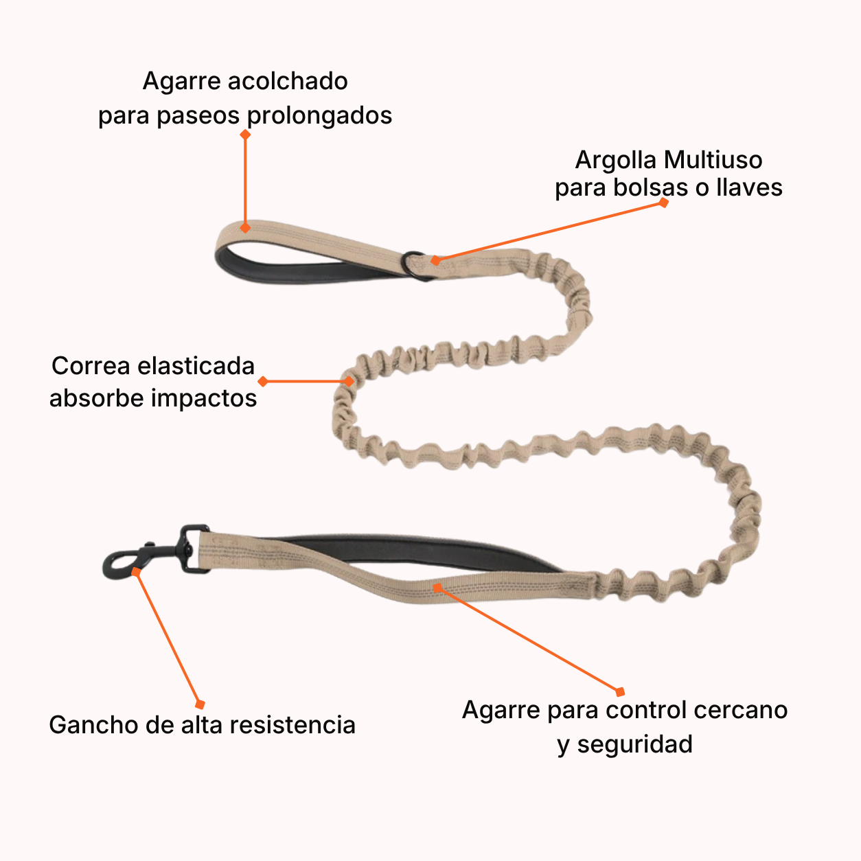 Correa Elásticada Pro