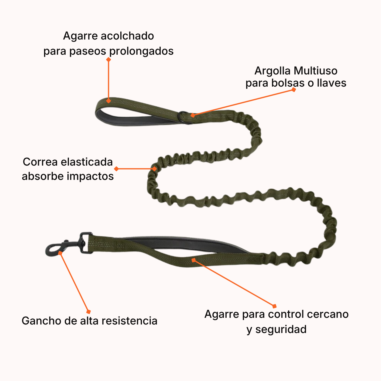 Correa Elásticada Pro