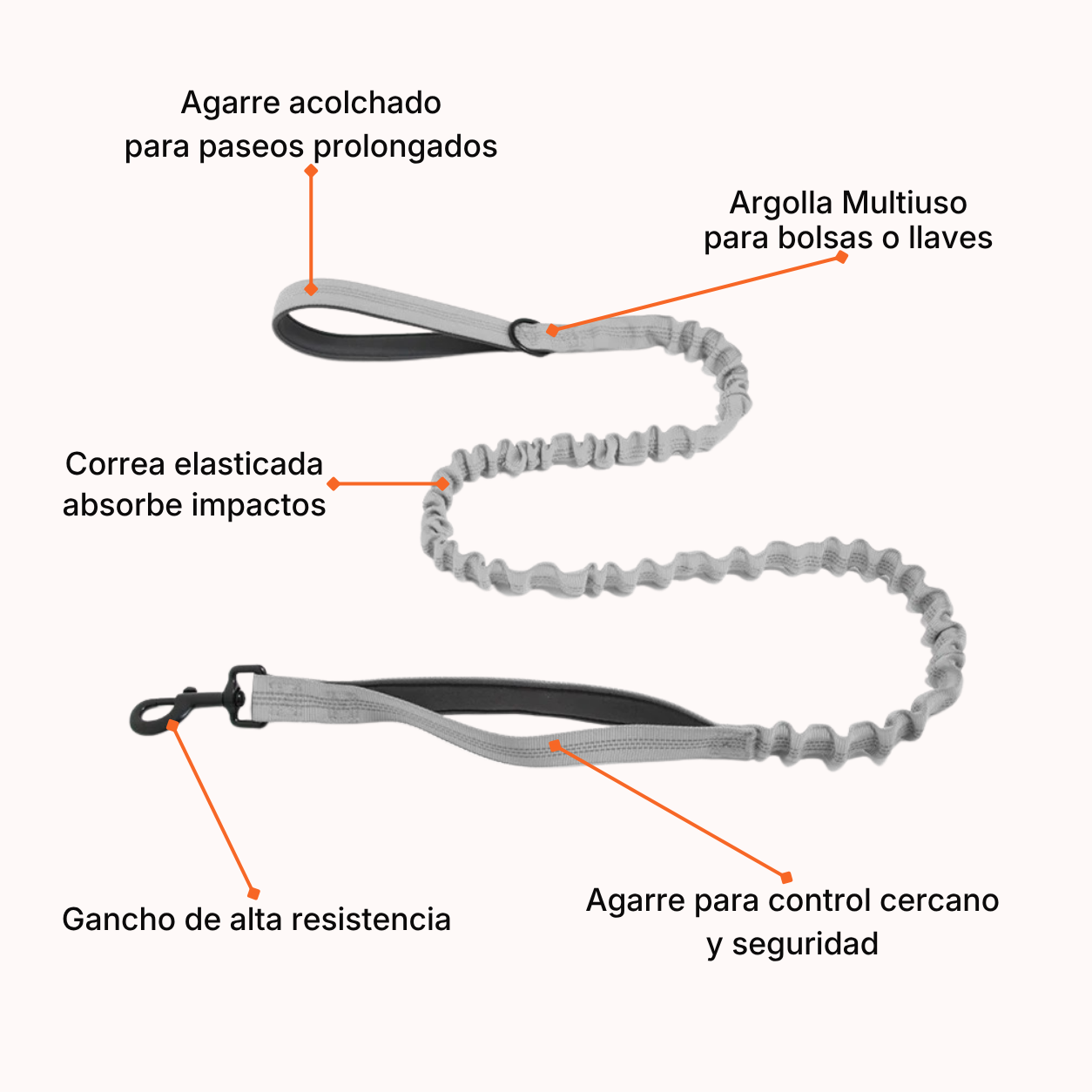 Correa Elásticada Pro
