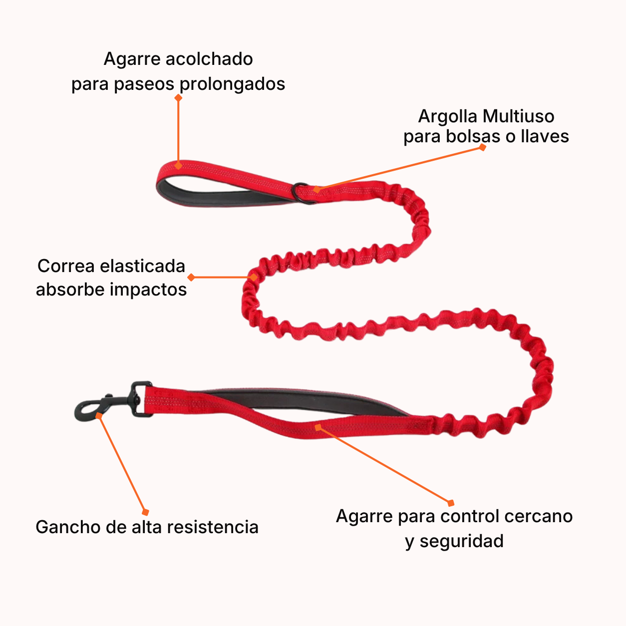 Correa Elásticada Pro