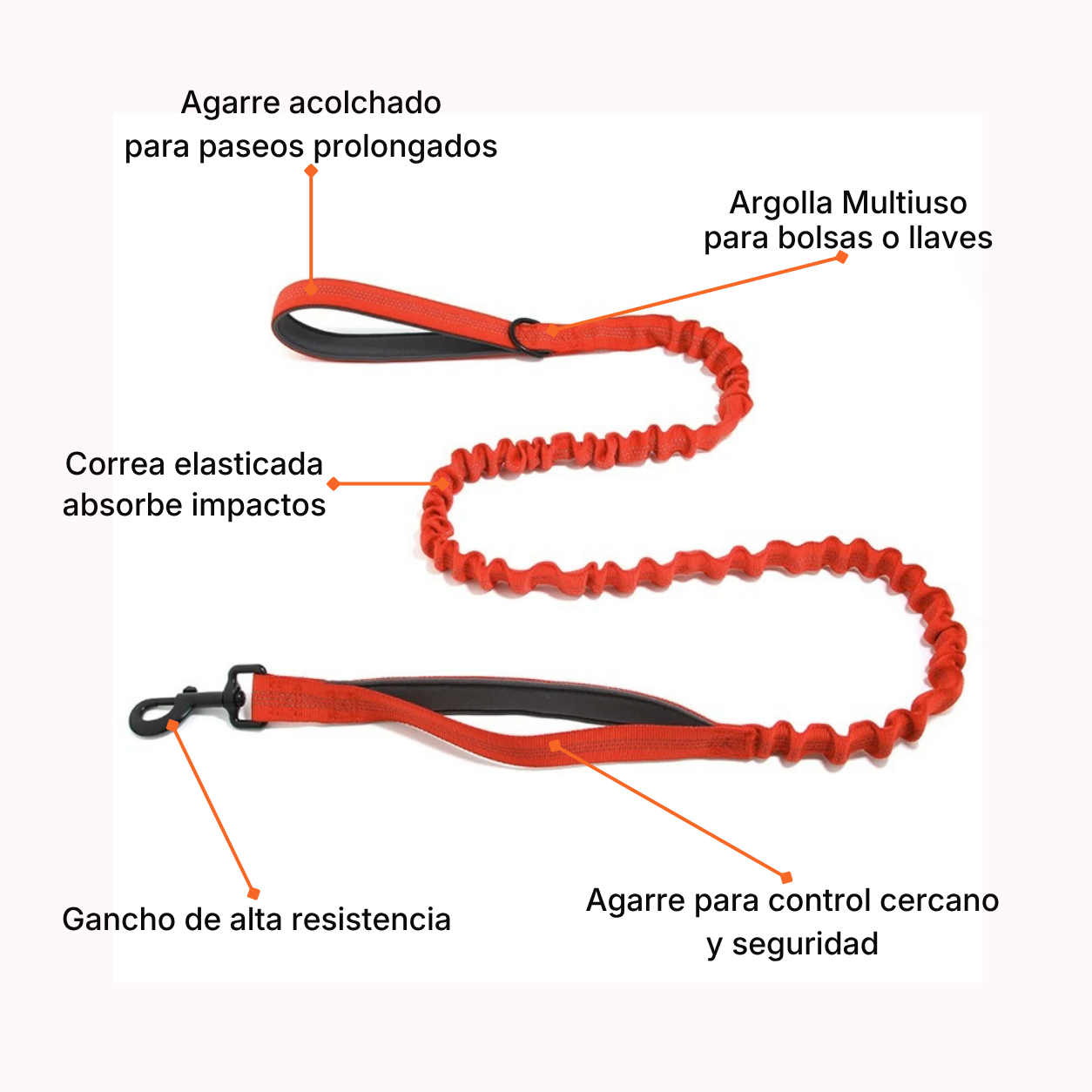 Correa Elásticada Pro