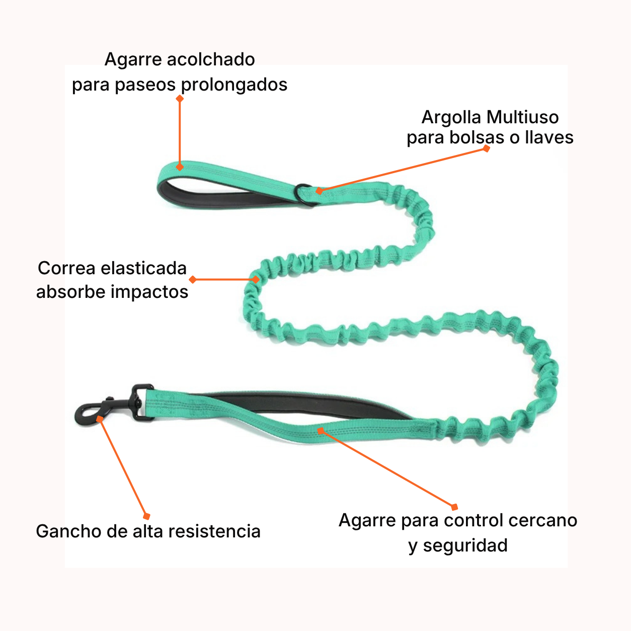 Correa Elásticada Pro