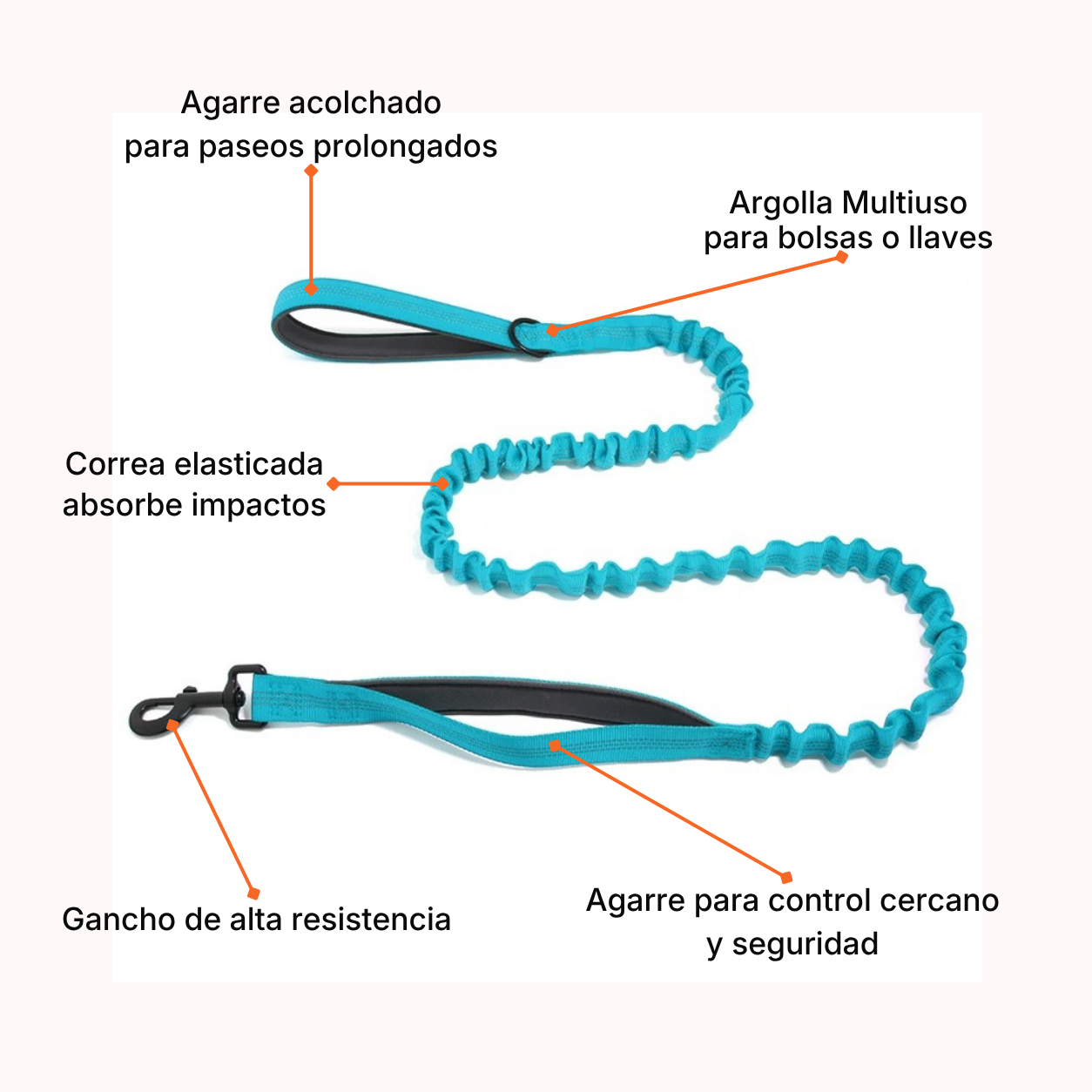 Correa Elásticada Pro