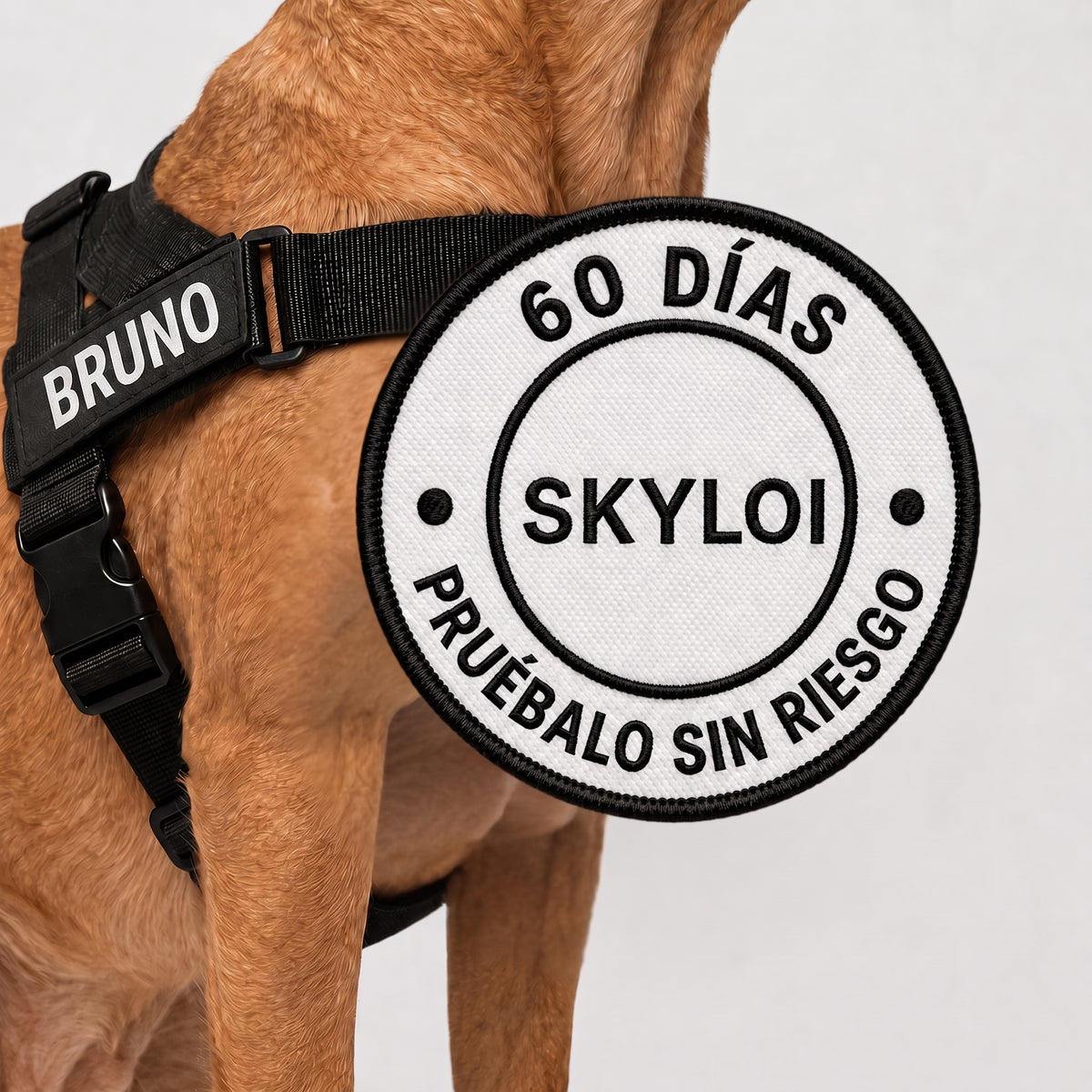 Skyloi® Kit Arnés Anti-jalón