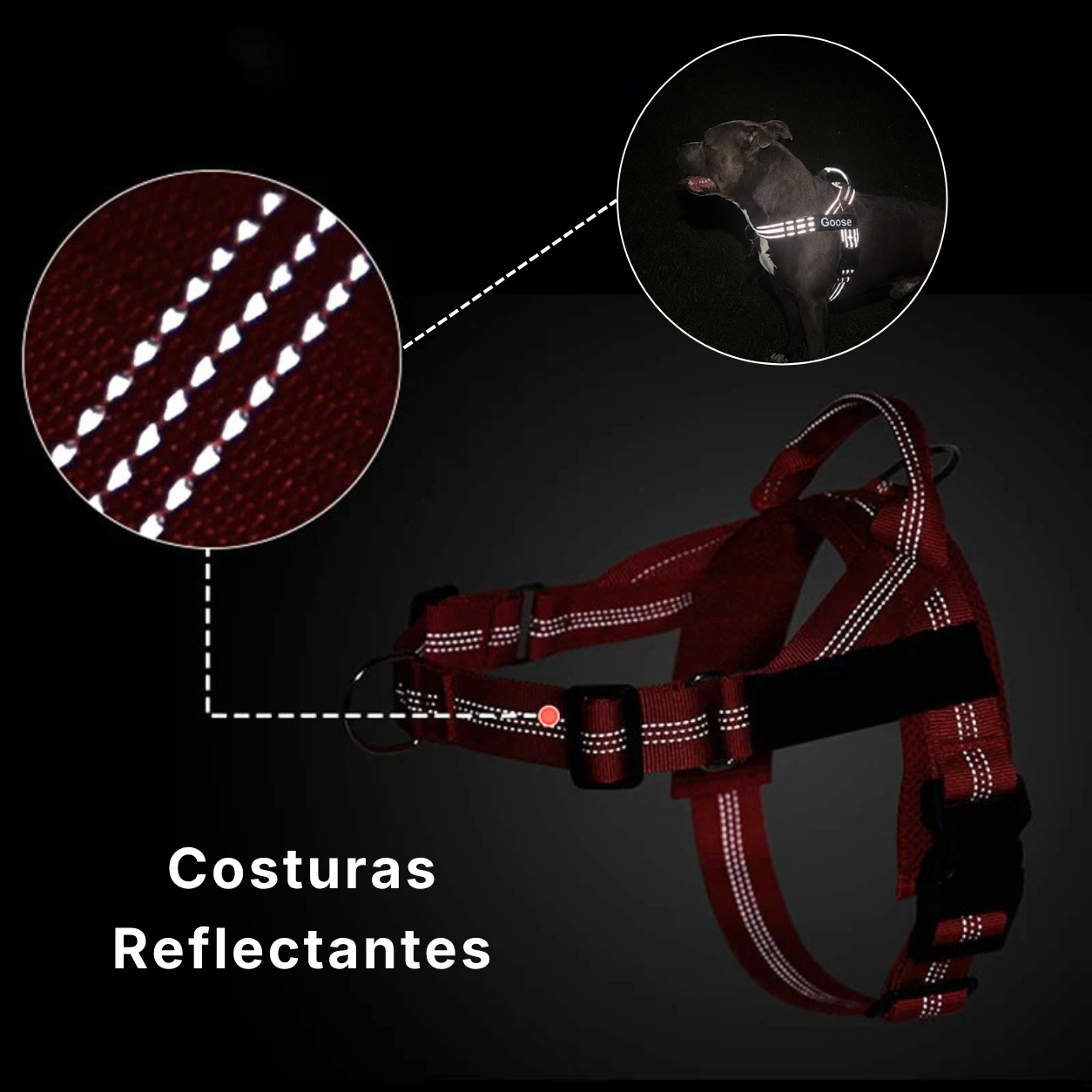 Skyloi® Kit Arnés Anti-jalón