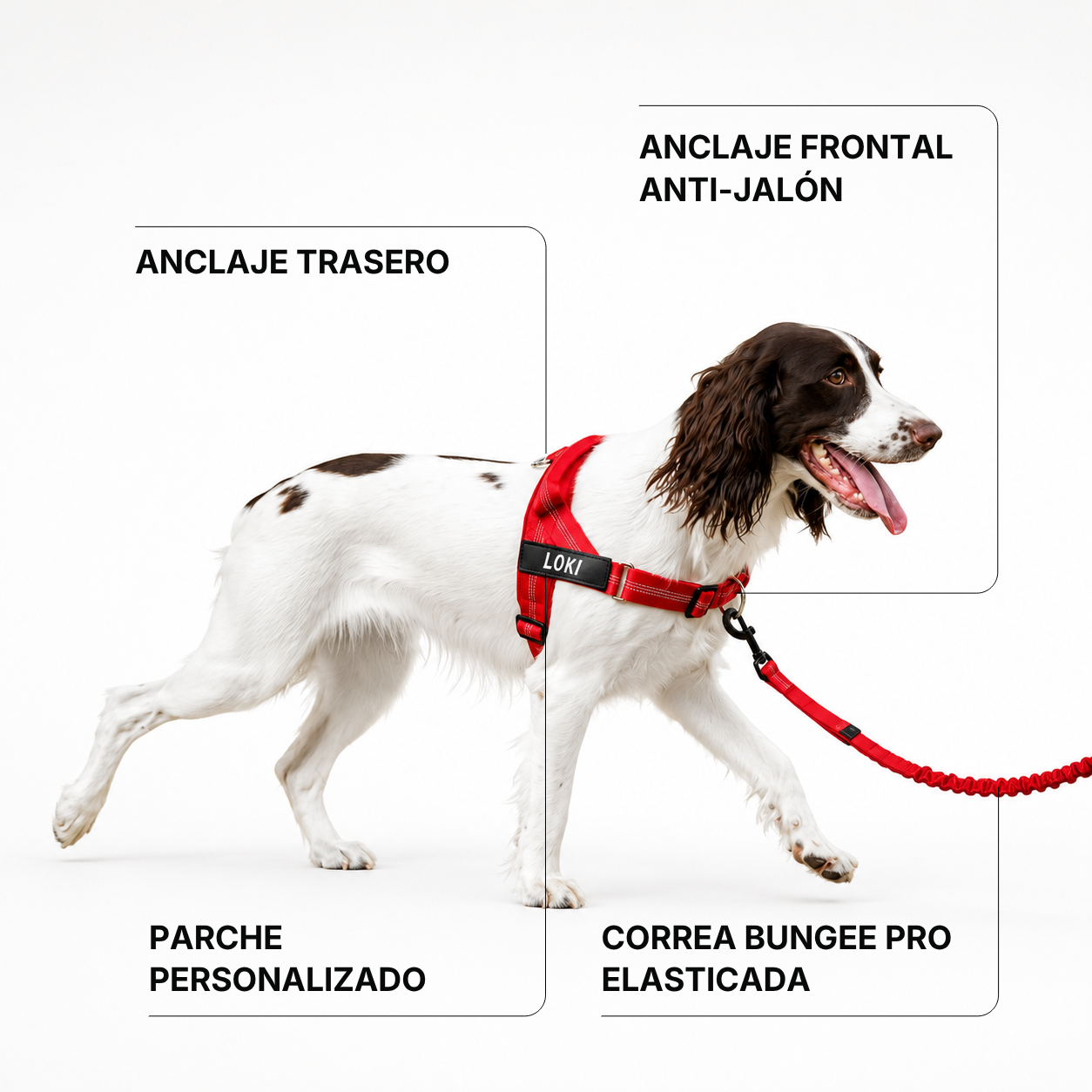Skyloi® Kit Arnés Anti-jalón