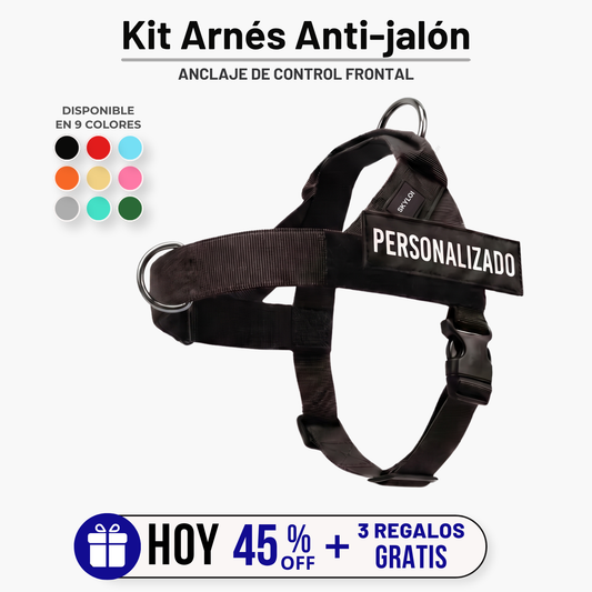 Skyloi® Kit Arnés Anti-jalón